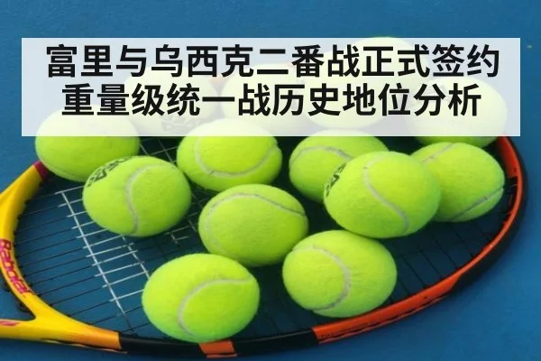 富里与乌西克二番战正式签约重量级统一战历史地位分析