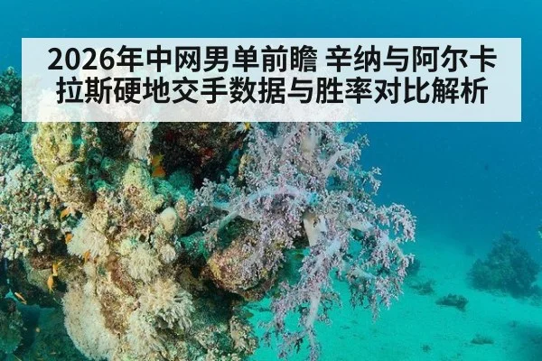 2026年中网男单前瞻 辛纳与阿尔卡拉斯硬地交手数据与胜率对比解析
